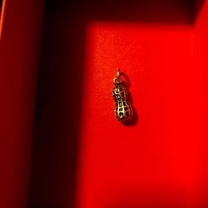 JAMES AVERY (RETIRED) PEANUT CHARM